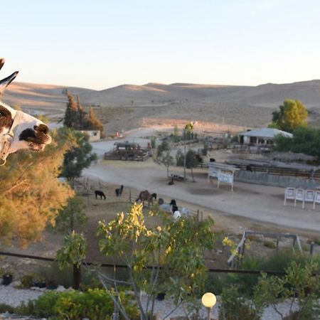 Villa Alpaca Farm - חוות האלפקות à Mitzpe Ramon Extérieur photo