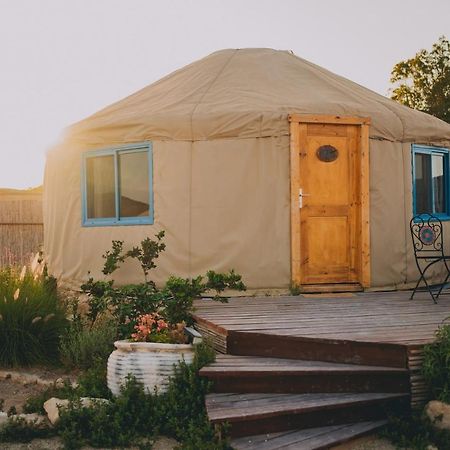 Villa Alpaca Farm - חוות האלפקות à Mitzpe Ramon Extérieur photo