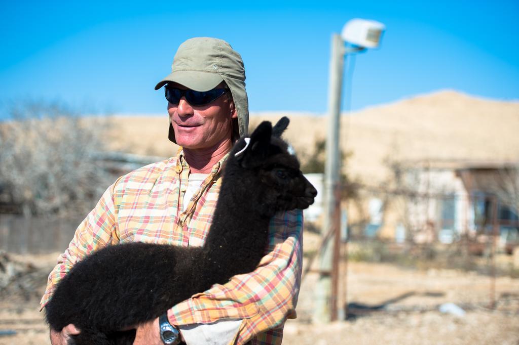 Villa Alpaca Farm - חוות האלפקות à Mitzpe Ramon Extérieur photo