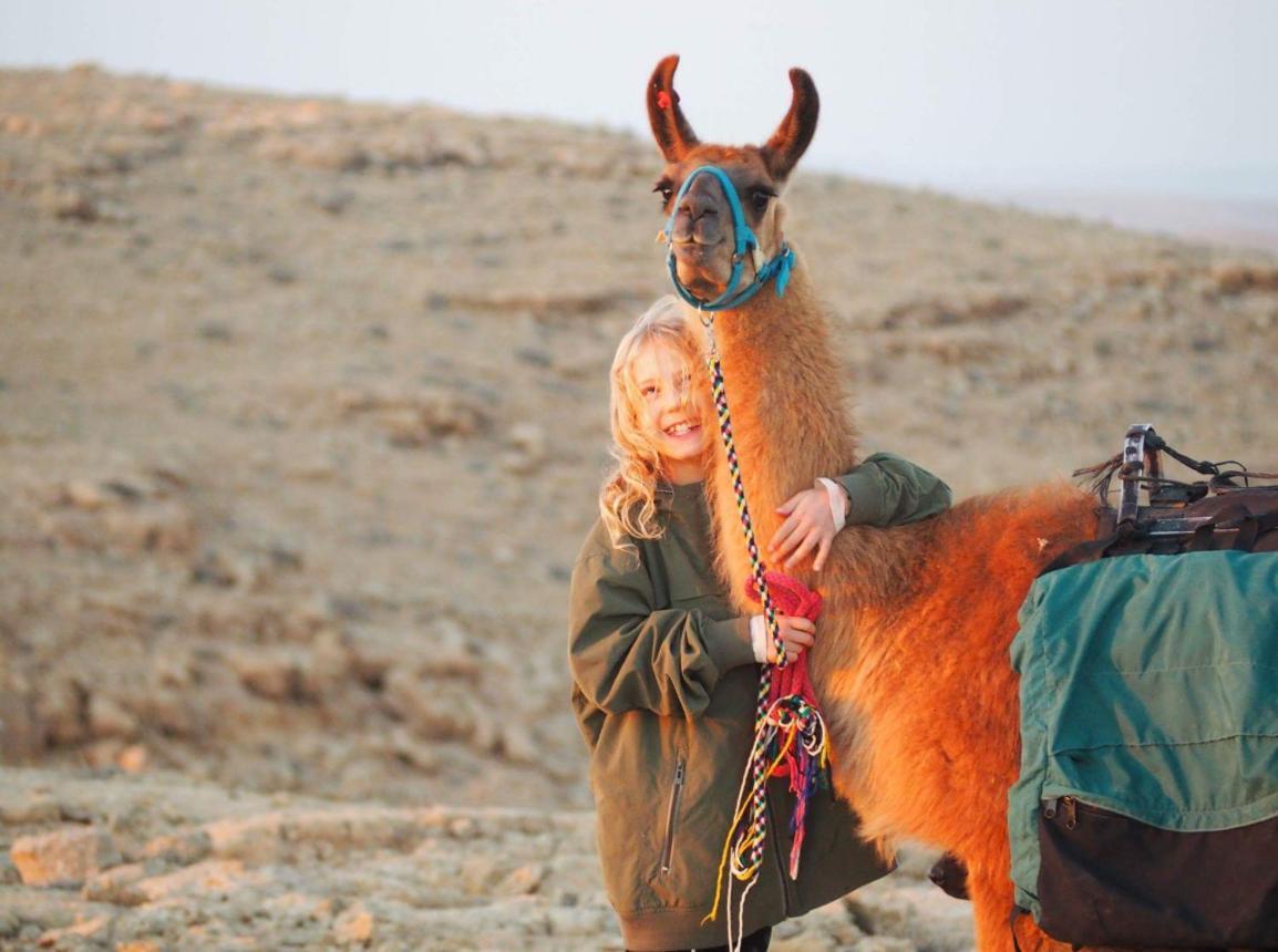 Villa Alpaca Farm - חוות האלפקות à Mitzpe Ramon Extérieur photo