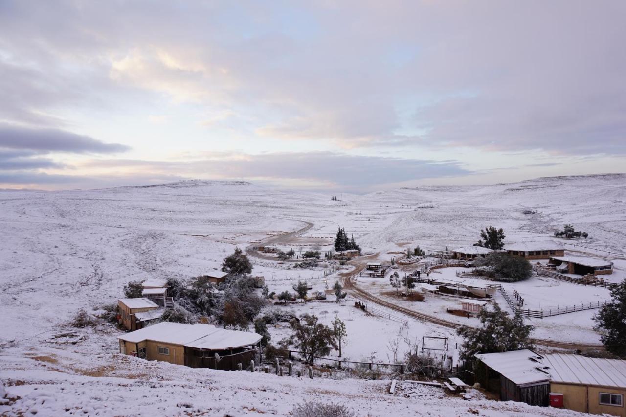Villa Alpaca Farm - חוות האלפקות à Mitzpe Ramon Extérieur photo