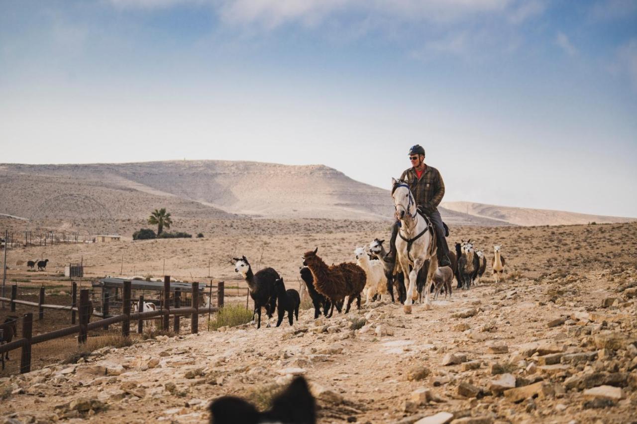 Villa Alpaca Farm - חוות האלפקות à Mitzpe Ramon Extérieur photo