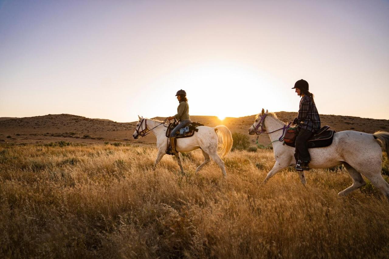 Villa Alpaca Farm - חוות האלפקות à Mitzpe Ramon Extérieur photo