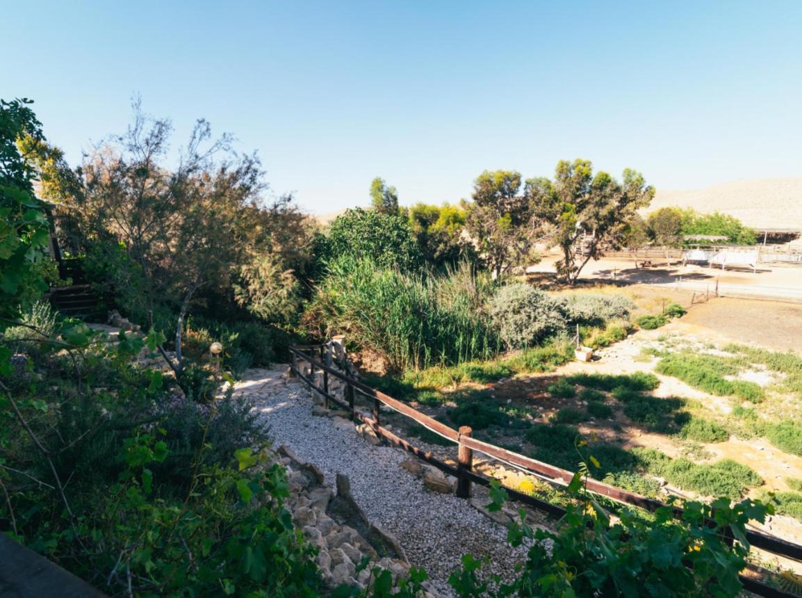 Villa Alpaca Farm - חוות האלפקות à Mitzpe Ramon Extérieur photo