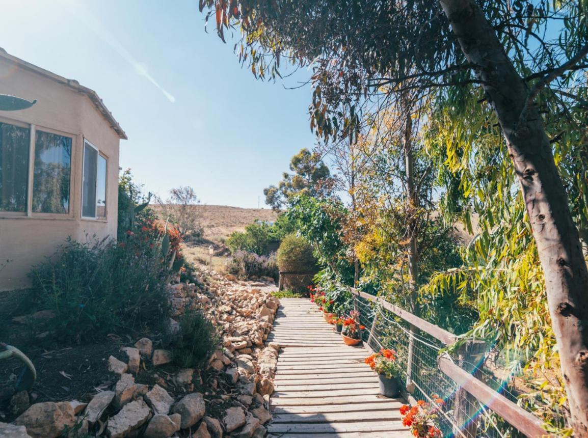 Villa Alpaca Farm - חוות האלפקות à Mitzpe Ramon Extérieur photo