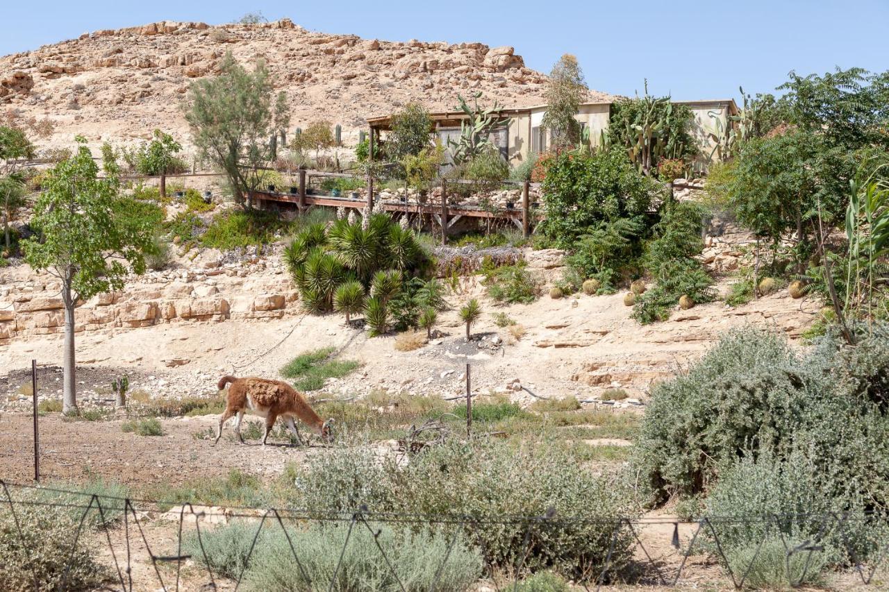 Villa Alpaca Farm - חוות האלפקות à Mitzpe Ramon Extérieur photo