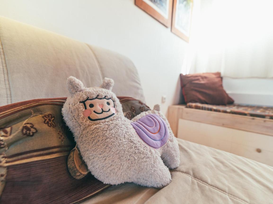 Villa Alpaca Farm - חוות האלפקות à Mitzpe Ramon Extérieur photo