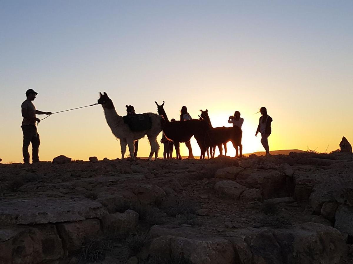 Villa Alpaca Farm - חוות האלפקות à Mitzpe Ramon Extérieur photo