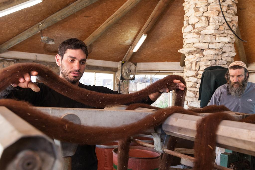 Villa Alpaca Farm - חוות האלפקות à Mitzpe Ramon Extérieur photo
