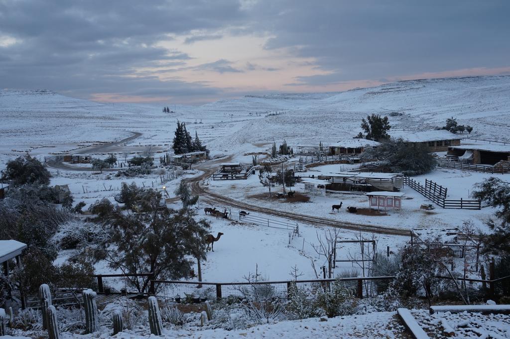 Villa Alpaca Farm - חוות האלפקות à Mitzpe Ramon Extérieur photo