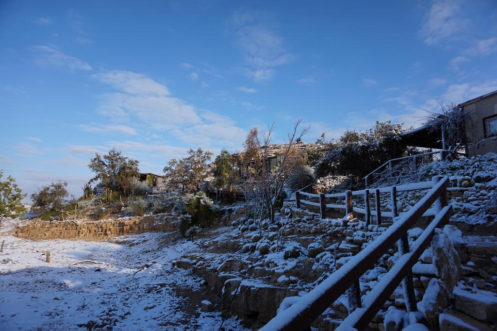Villa Alpaca Farm - חוות האלפקות à Mitzpe Ramon Extérieur photo