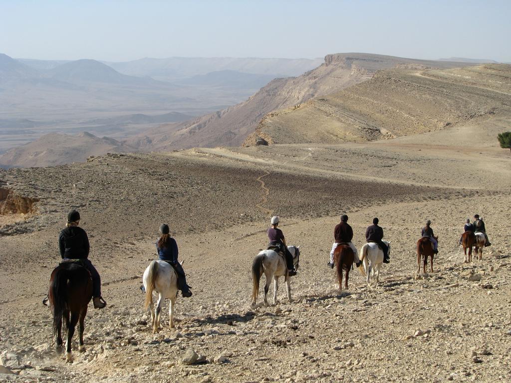 Villa Alpaca Farm - חוות האלפקות à Mitzpe Ramon Extérieur photo