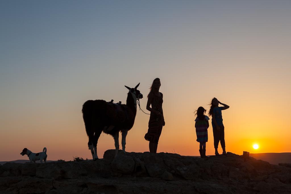Villa Alpaca Farm - חוות האלפקות à Mitzpe Ramon Extérieur photo