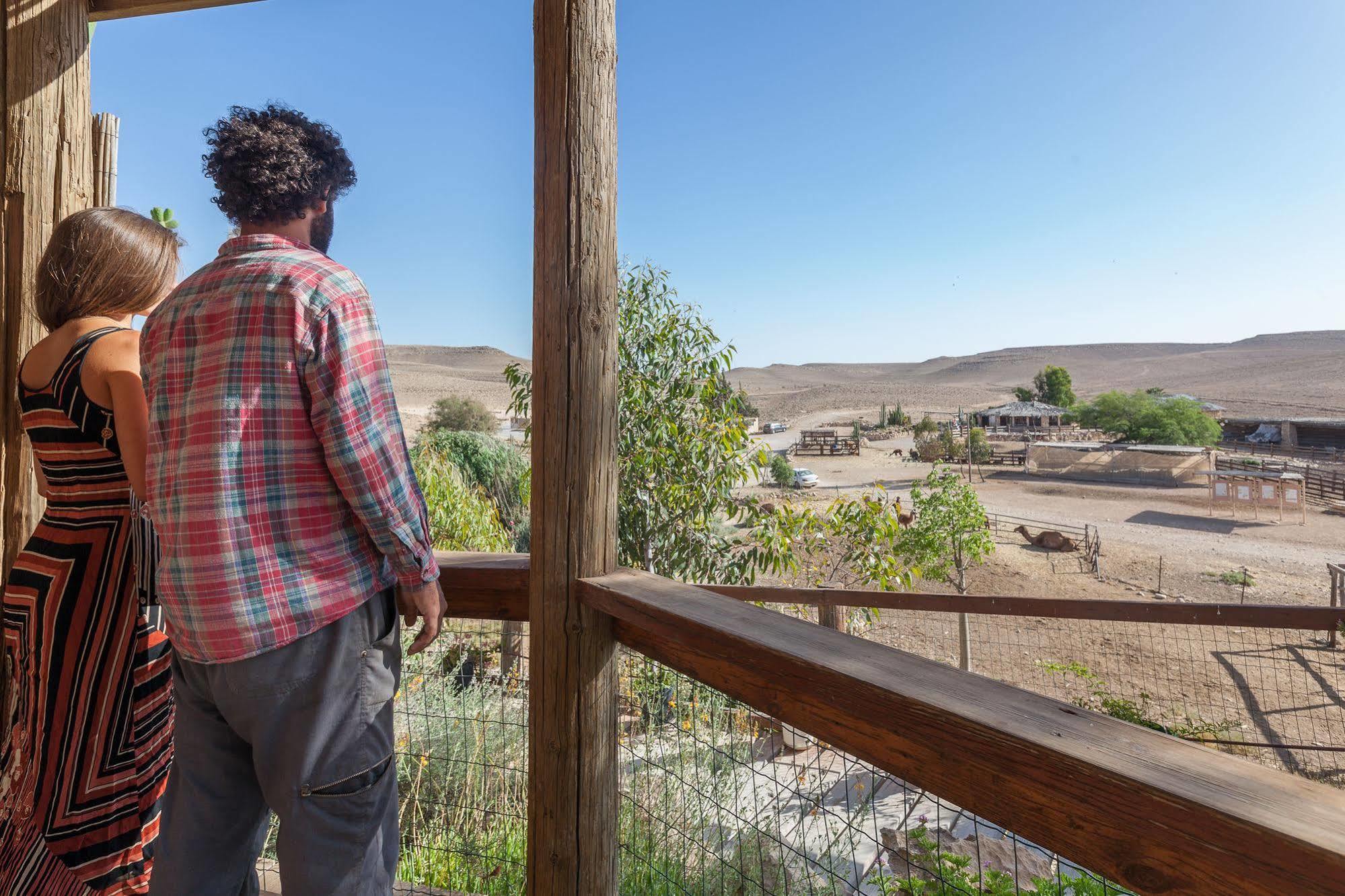 Villa Alpaca Farm - חוות האלפקות à Mitzpe Ramon Extérieur photo