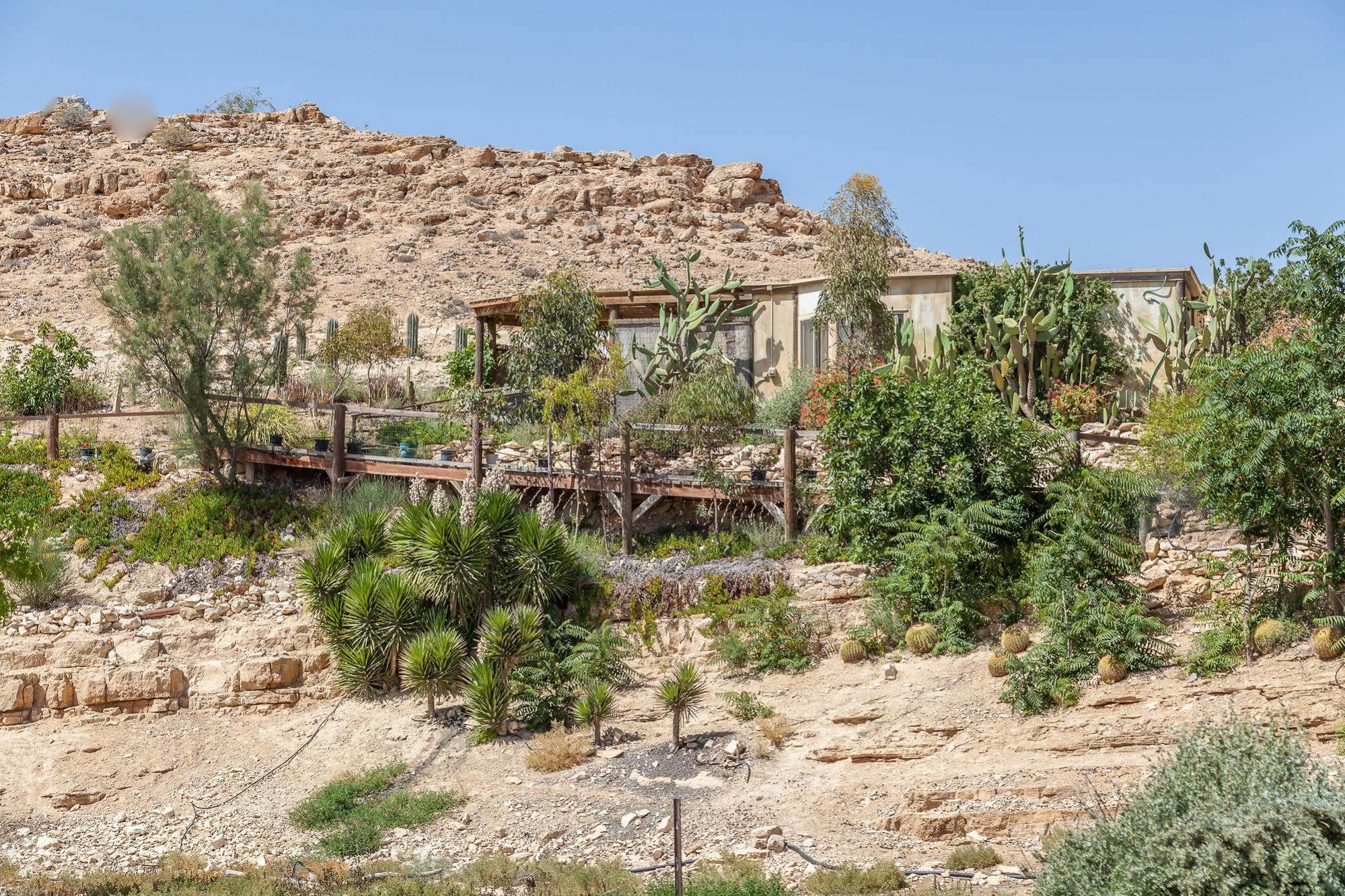 Villa Alpaca Farm - חוות האלפקות à Mitzpe Ramon Extérieur photo